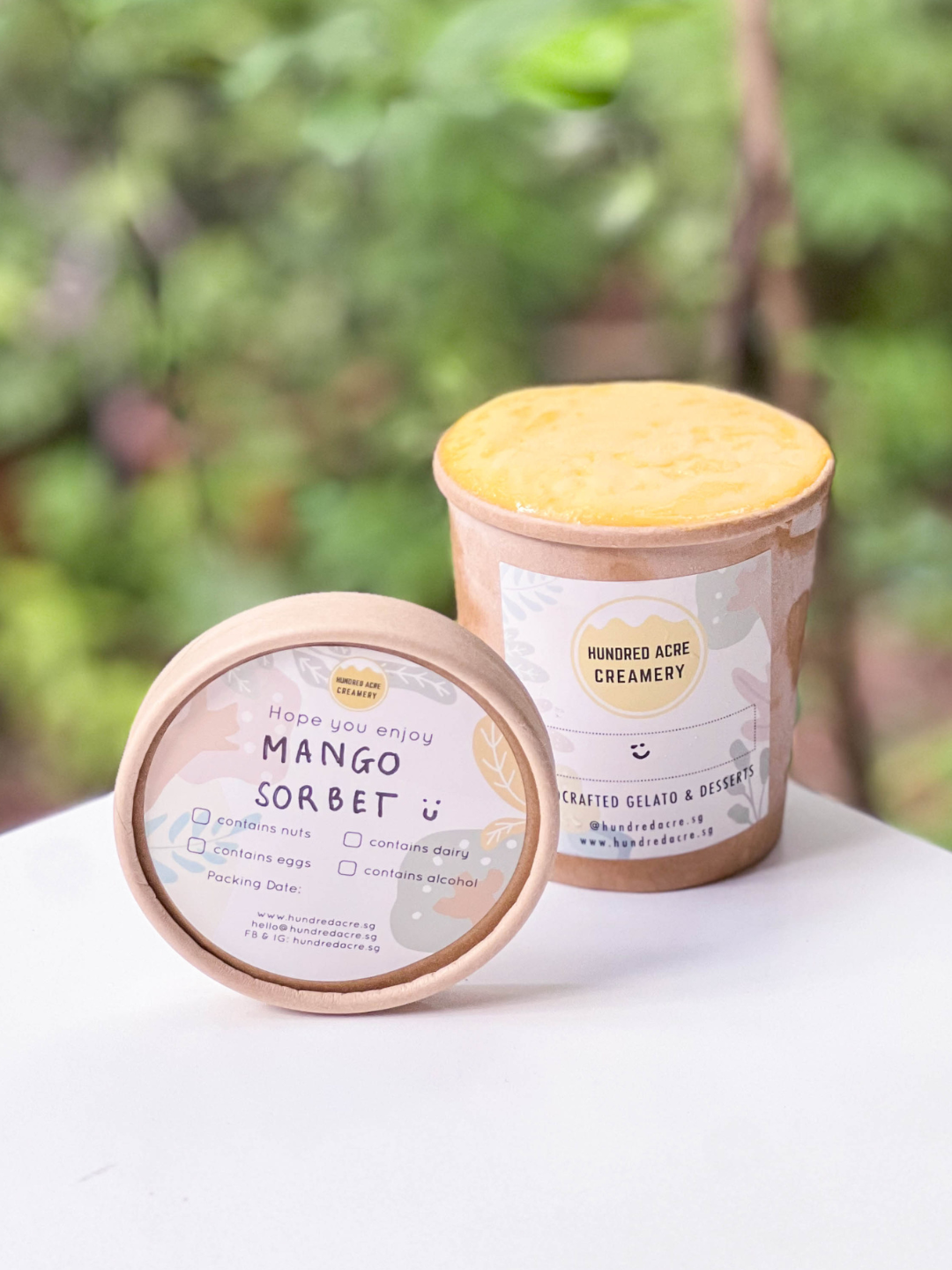 Mango Sorbet